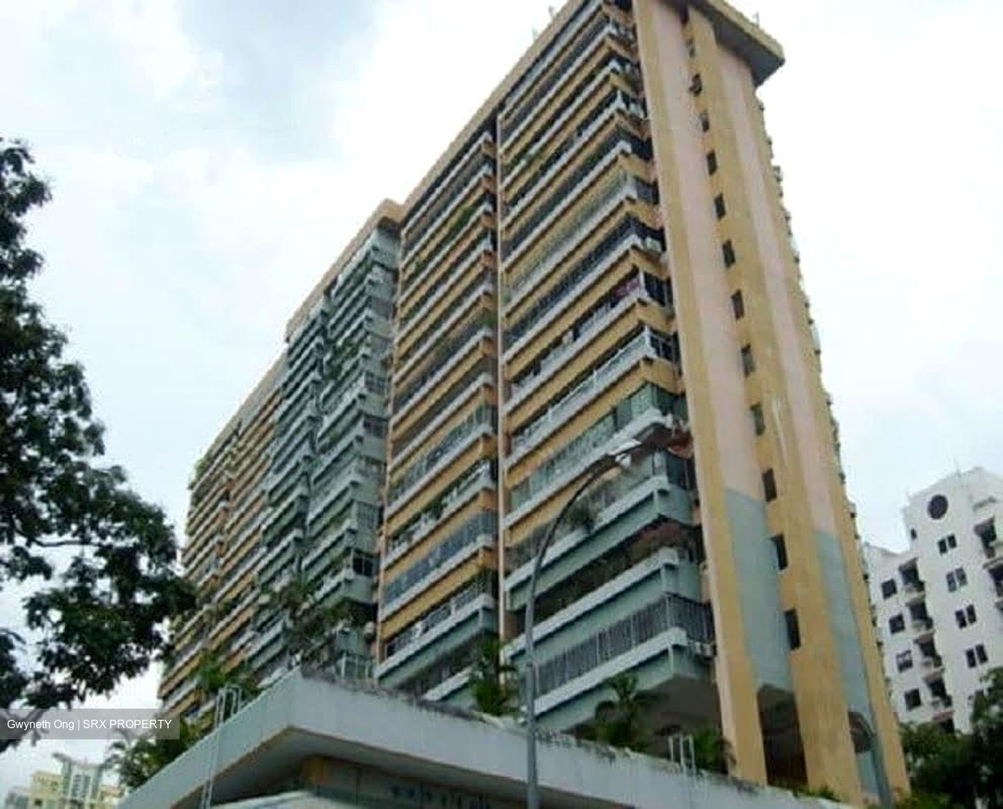 Balestier Plaza (D12), Shop House #600654341